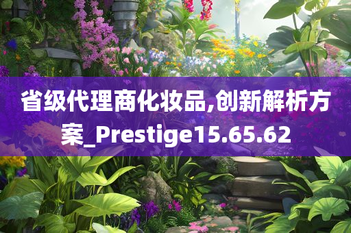 省级代理商化妆品,创新解析方案_Prestige15.65.62