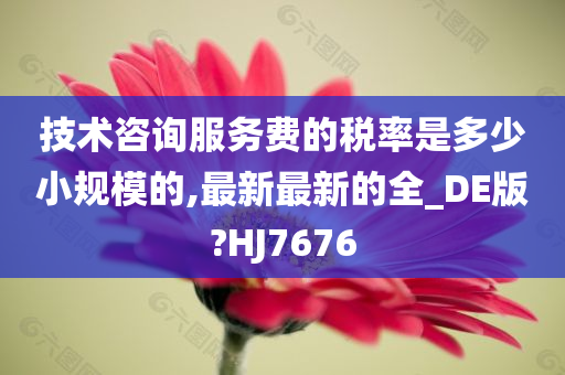 技术咨询服务费的税率是多少小规模的,最新最新的全_DE版?HJ7676