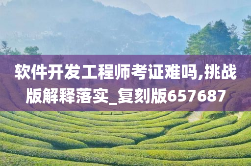 软件开发工程师考证难吗,挑战版解释落实_复刻版657687