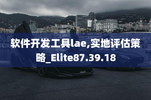 软件开发工具lae,实地评估策略_Elite87.39.18