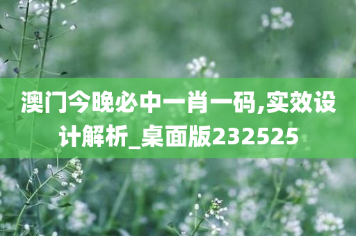 澳门今晚必中一肖一码,实效设计解析_桌面版232525