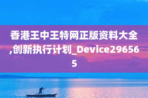 香港王中王特网正版资料大全,创新执行计划_Device296565