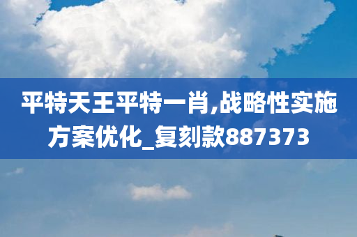 平特天王平特一肖,战略性实施方案优化_复刻款887373