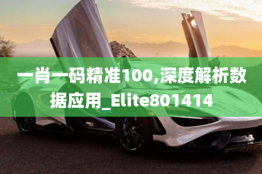 一肖一码精准100,深度解析数据应用_Elite801414