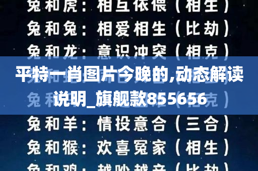 平特一肖图片今晚的,动态解读说明_旗舰款855656