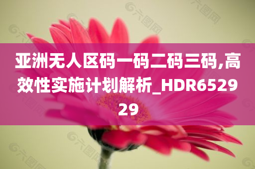 亚洲无人区码一码二码三码,高效性实施计划解析_HDR652929