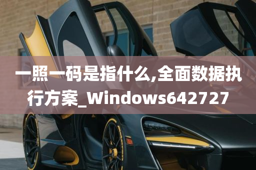 一照一码是指什么,全面数据执行方案_Windows642727