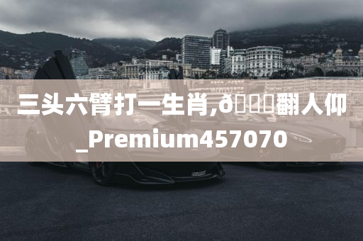 三头六臂打一生肖,🐎翻人仰_Premium457070