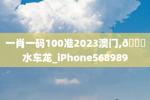 一肖一码100准2023澳门,🐎水车龙_iPhone568989