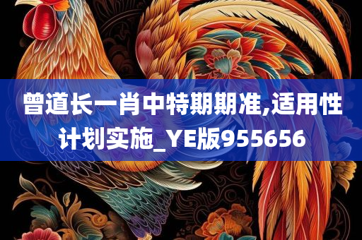 曾道长一肖中特期期准,适用性计划实施_YE版955656