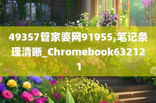 49357管家婆网91955,笔记条理清晰_Chromebook632121