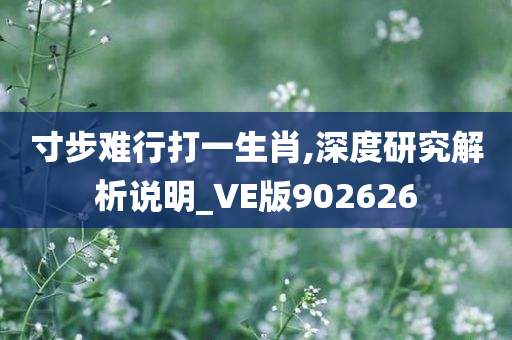 寸步难行打一生肖,深度研究解析说明_VE版902626