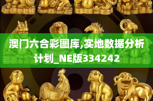 澳门六合彩图库,实地数据分析计划_NE版334242