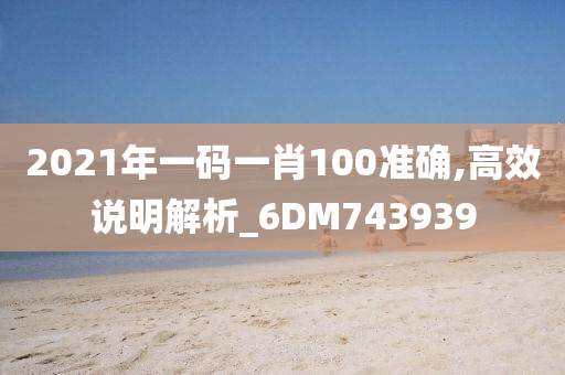 2021年一码一肖100准确,高效说明解析_6DM743939