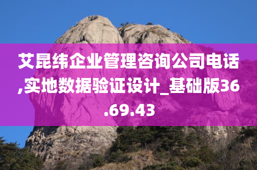 艾昆纬企业管理咨询公司电话,实地数据验证设计_基础版36.69.43