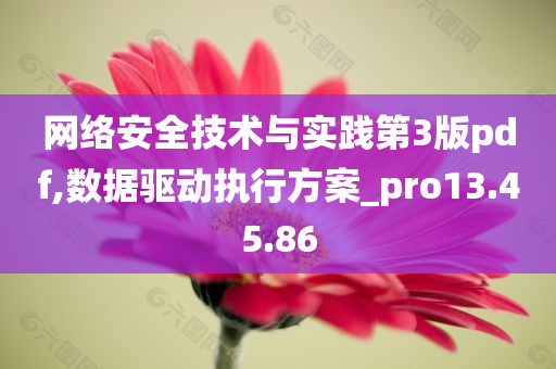 网络安全技术与实践第3版pdf,数据驱动执行方案_pro13.45.86