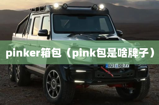 pinker箱包（pink包是啥牌子）