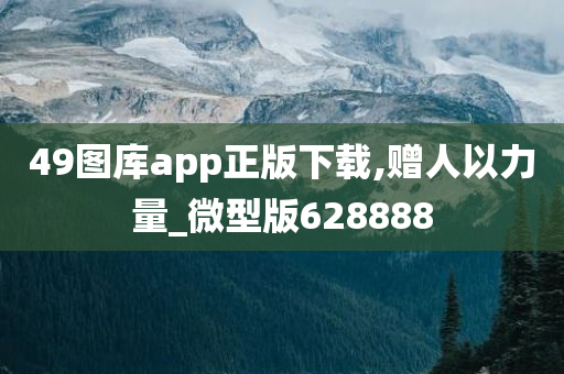 49图库app正版下载,赠人以力量_微型版628888