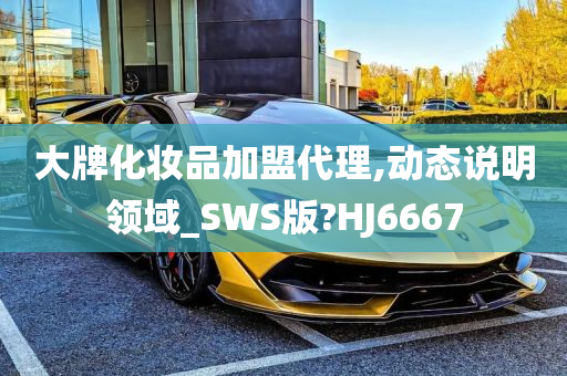 大牌化妆品加盟代理,动态说明领域_SWS版?HJ6667