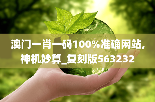 澳门一肖一码100%准确网站,神机妙算_复刻版563232