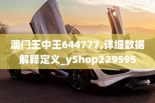 澳门王中王644777,详细数据解释定义_yShop229595