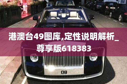 港澳台49图库,定性说明解析_尊享版618383