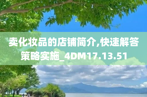 卖化妆品的店铺简介,快速解答策略实施_4DM17.13.51