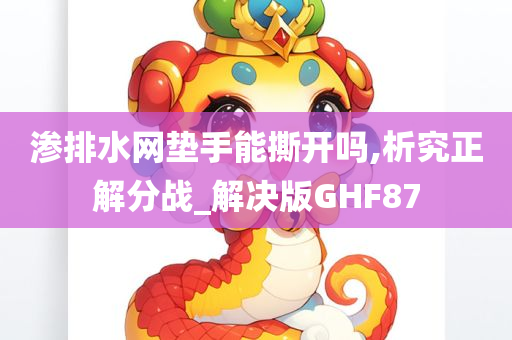 渗排水网垫手能撕开吗,析究正解分战_解决版GHF87