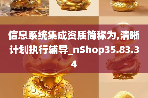 信息系统集成资质简称为,清晰计划执行辅导_nShop35.83.34