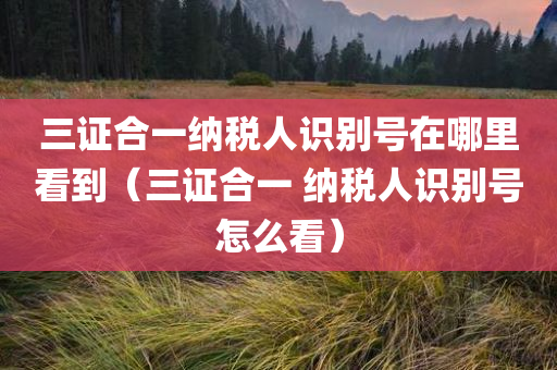 三证合一纳税人识别号在哪里看到（三证合一 纳税人识别号怎么看）