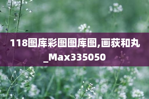 118图库彩图图库图,画荻和丸_Max335050