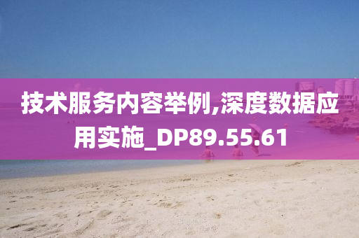 技术服务内容举例,深度数据应用实施_DP89.55.61