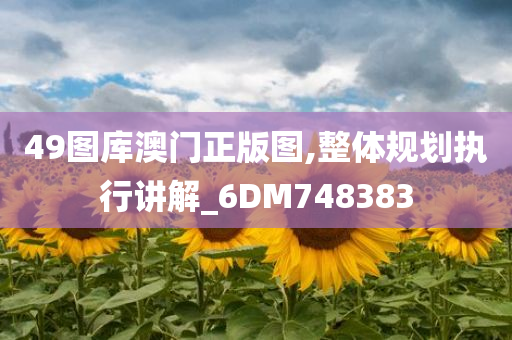 49图库澳门正版图,整体规划执行讲解_6DM748383