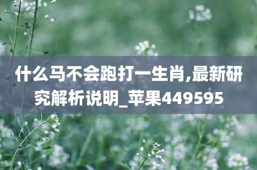 什么马不会跑打一生肖,最新研究解析说明_苹果449595