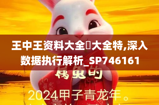 王中王资料大全枓大全特,深入数据执行解析_SP746161