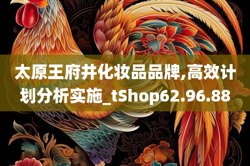 太原王府井化妆品品牌,高效计划分析实施_tShop62.96.88