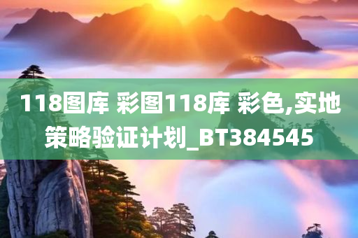 118图库 彩图118库 彩色,实地策略验证计划_BT384545