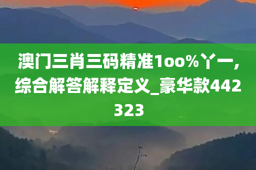 澳门三肖三码精准1oo%丫一,综合解答解释定义_豪华款442323