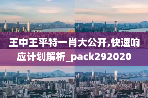 王中王平特一肖大公开,快速响应计划解析_pack292020