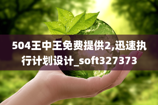 504王中王免费提供2,迅速执行计划设计_soft327373