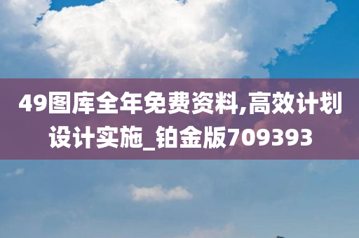 49图库全年免费资料,高效计划设计实施_铂金版709393