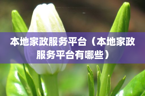 本地家政服务平台（本地家政服务平台有哪些）