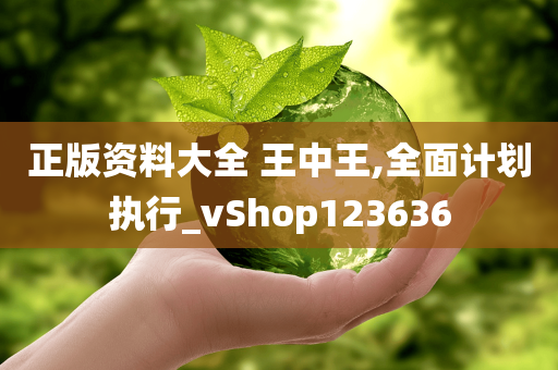 正版资料大全 王中王,全面计划执行_vShop123636