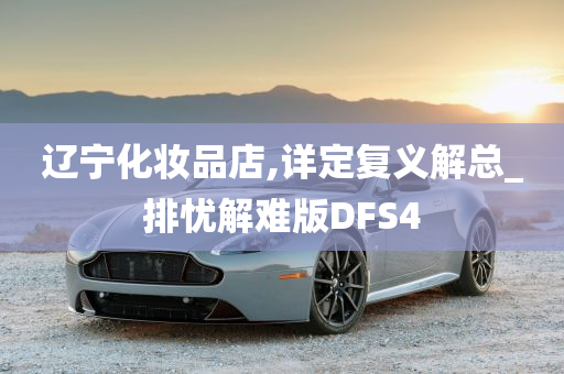 辽宁化妆品店,详定复义解总_排忧解难版DFS4