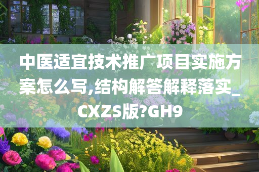 中医适宜技术推广项目实施方案怎么写,结构解答解释落实_CXZS版?GH9