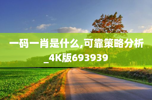 一码一肖是什么,可靠策略分析_4K版693939