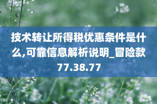 技术转让所得税优惠条件是什么,可靠信息解析说明_冒险款77.38.77