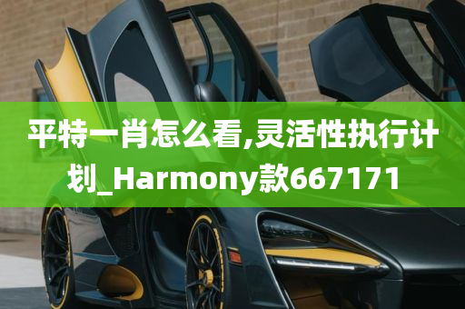 平特一肖怎么看,灵活性执行计划_Harmony款667171