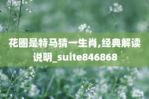 花圈是特马猜一生肖,经典解读说明_suite846868