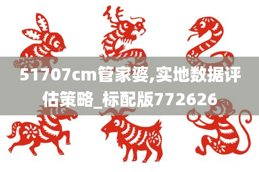 51707cm管家婆,实地数据评估策略_标配版772626